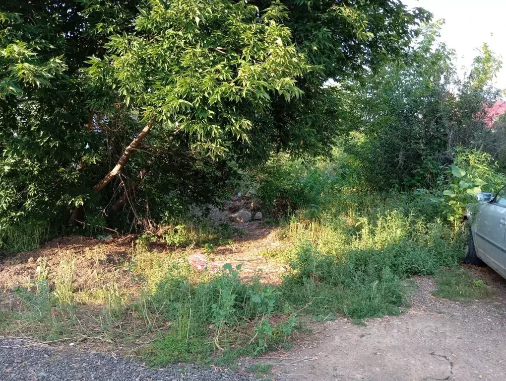 Участок в Оренбургская область, Оренбург Энергостроитель СНТ, ул. ... - Фото 2