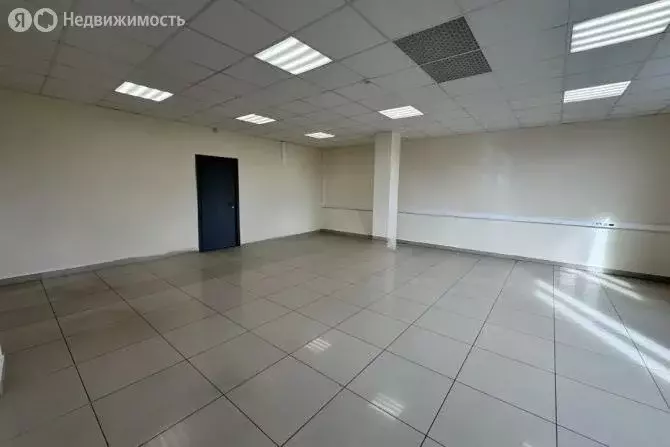 Офис (56.2 м) - Фото 0