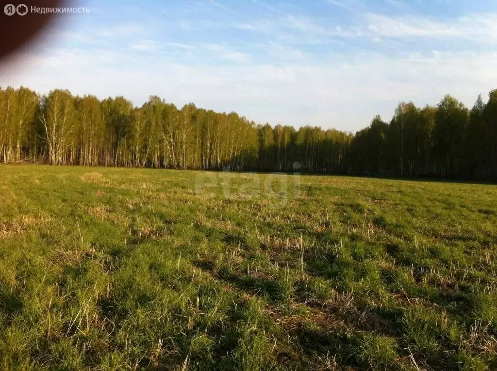 Участок в Нижнетавдинский район, село Бухтал (88 м) - Фото 0