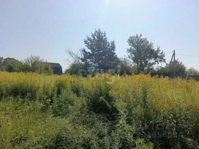 Участок в Брянская область, Брянский район, Добрунское с/пос, д. ... - Фото 1