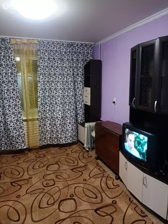 Квартира-студия: Пермь, Подлесная улица, 17 (16.7 м) - Фото 2