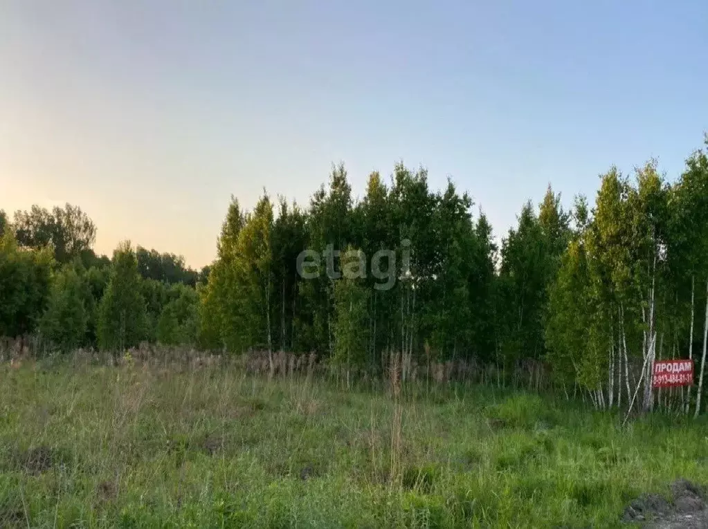 Участок в Новосибирская область, Искитимский район, Морозовский ... - Фото 0