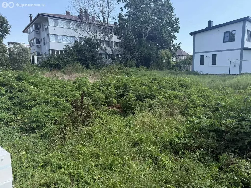 Участок в село Мысхако, Берёзовая улица, 2 (7 м) - Фото 1