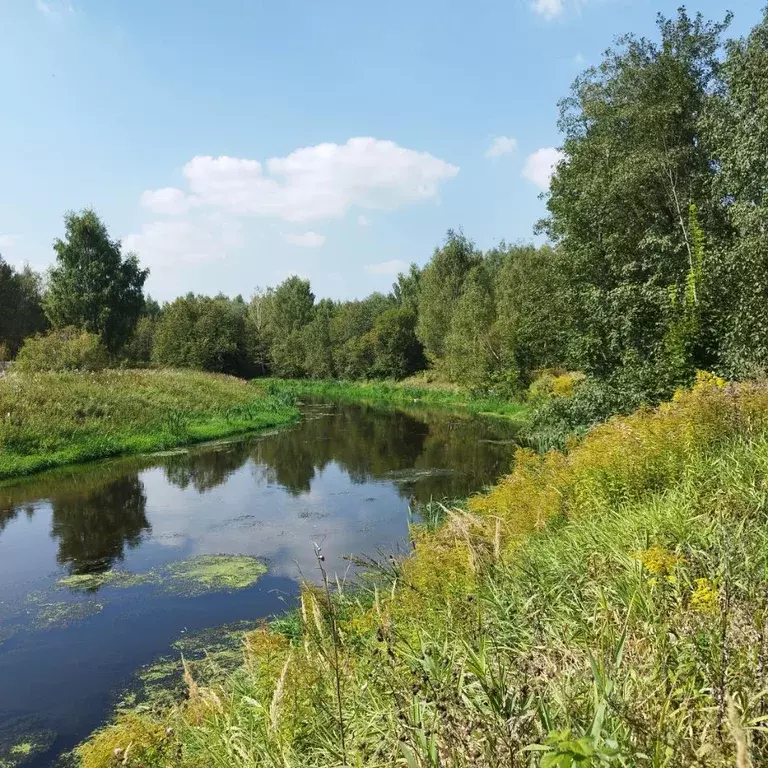 Участок в Московская область, Пушкинский городской округ, Черкизово ... - Фото 1