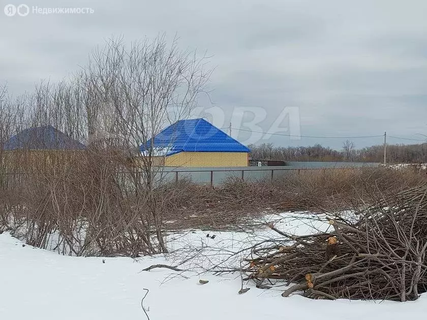 Участок в Тюмень, садовое товарищество Царево (24.5 м) - Фото 1