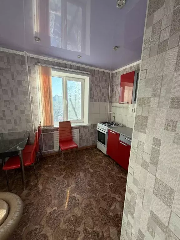 1-к кв. Курганская область, Курган Заозерный жилрайон, 2-й мкр, 25 ... - Фото 2