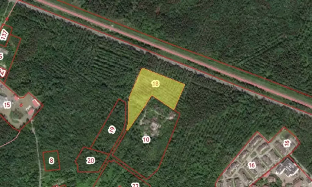 Участок в Санкт-Петербург пос. Солнечное, Лесная ул. (284.0 сот.) - Фото 2