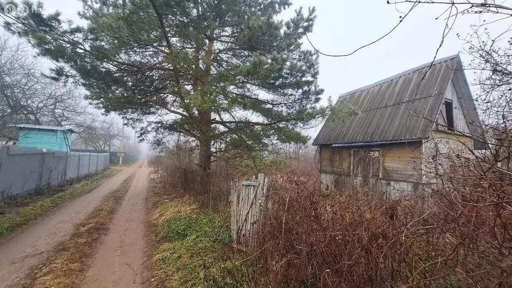 Участок в Смоленский муниципальный округ, деревня Александровка (6.76 ... - Фото 1