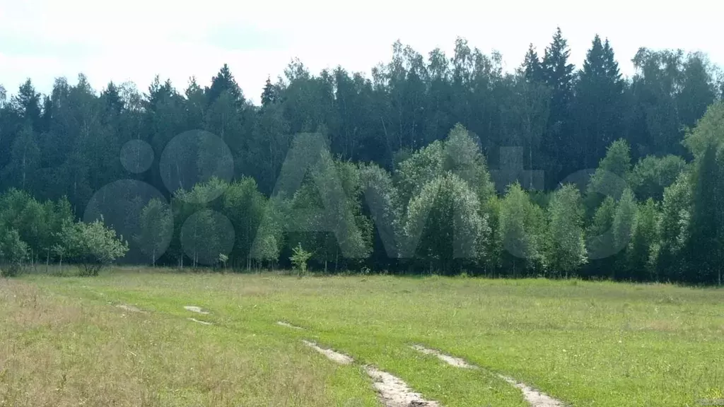 Участок 6,2 сот. (ИЖС) - Фото 0