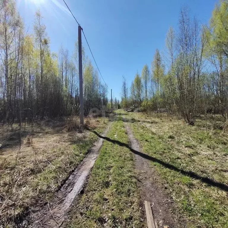 Участок в Вологодская область, Вологда Медик садоводческое ... - Фото 2