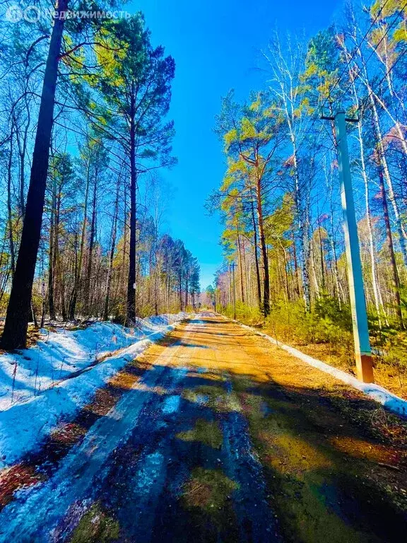 Участок в Иркутский муниципальный округ, ДНТ Петровская Слобода, ... - Фото 1