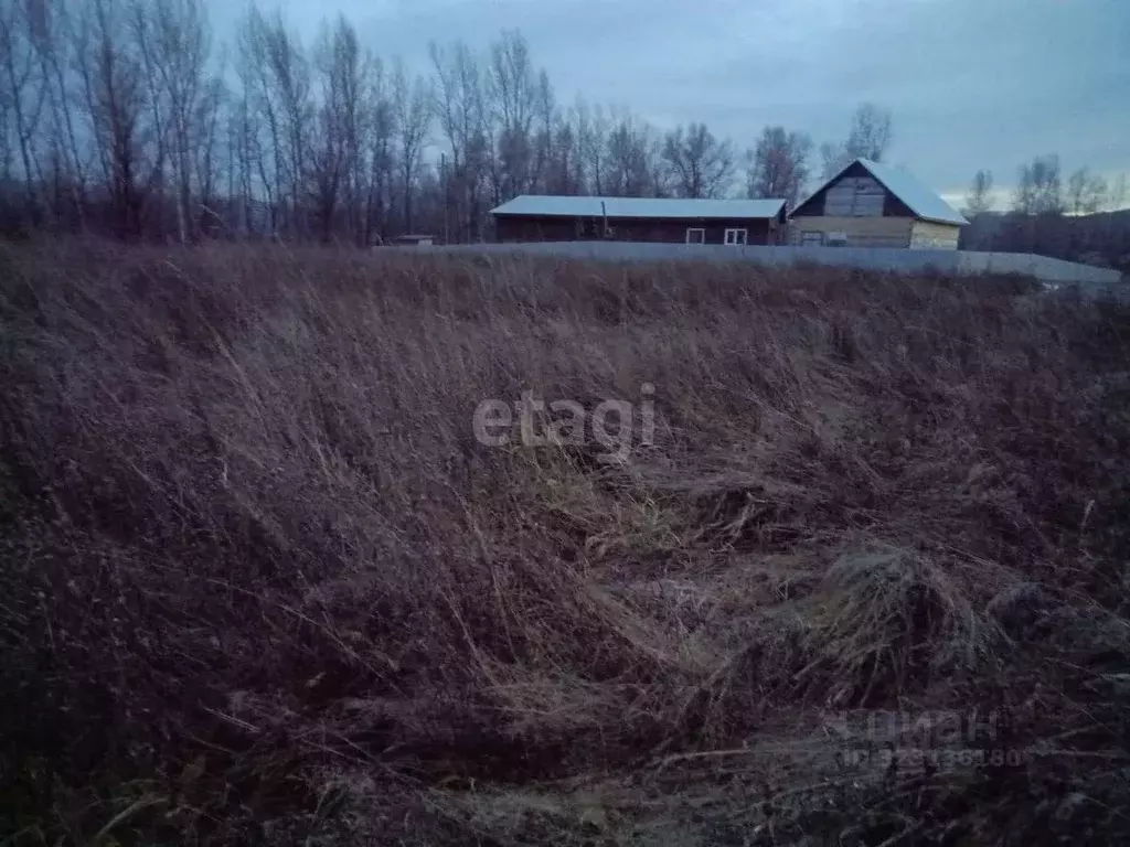 Участок в Алтайский край, Алтайский район, Айский сельсовет, с. Ая ул. ... - Фото 1