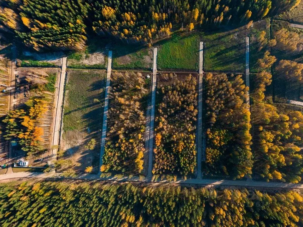 Участок в Свердловская область, Сысертский городской округ, пос. ... - Фото 1