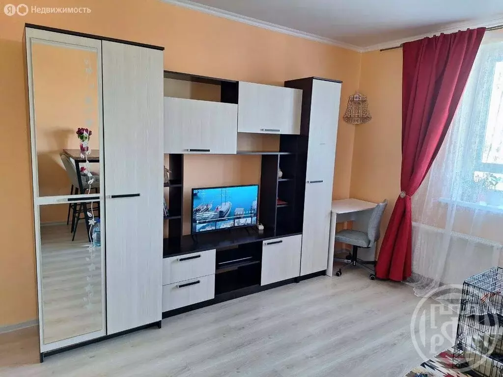 Квартира-студия: Санкт-Петербург, Парашютная улица, 42к1 (25.4 м) - Фото 1