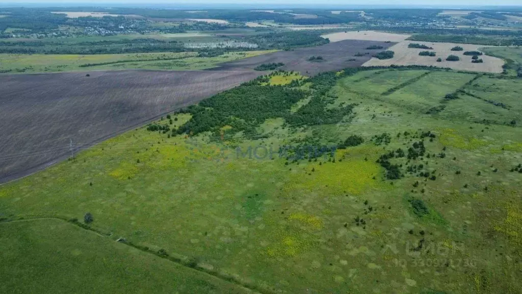 Участок в Нижегородская область, Лысковский район, с. Саурово Нижняя ... - Фото 2