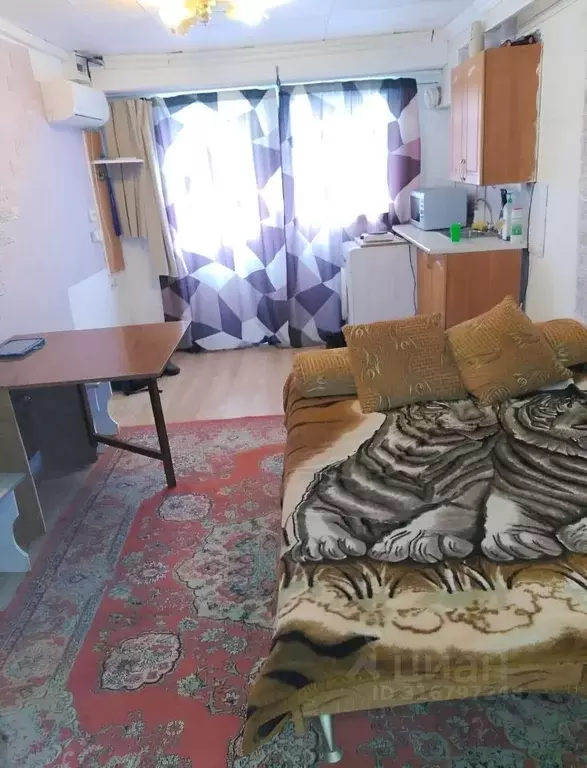 Студия Краснодарский край, Сочи Хлебозаводской пер., 9В (18.0 м) - Фото 1