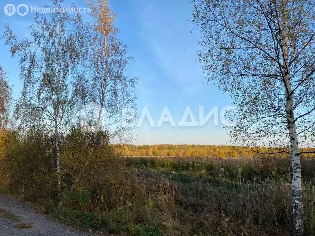 Участок в муниципальное образование Второвское, деревня Близнино ... - Фото 0