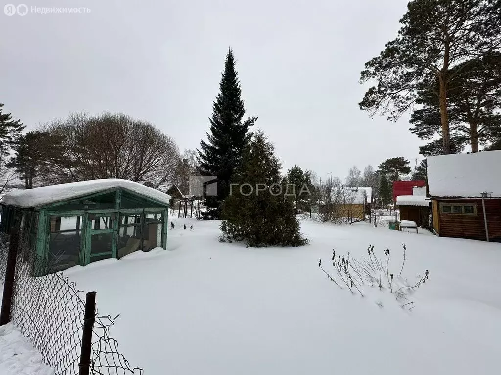 Участок в Тогучинский район, садоводческое товарищество Транспортник, ... - Фото 1