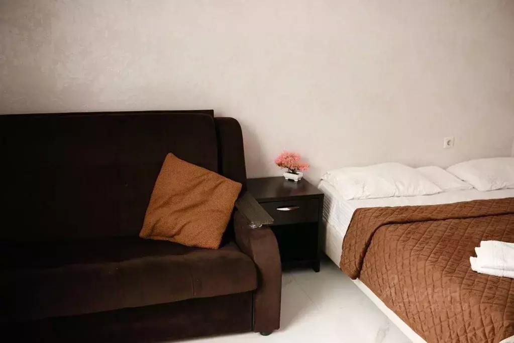 2-к кв. Краснодарский край, Сочи ул. Просвещения, 85Б (32.0 м) - Фото 1