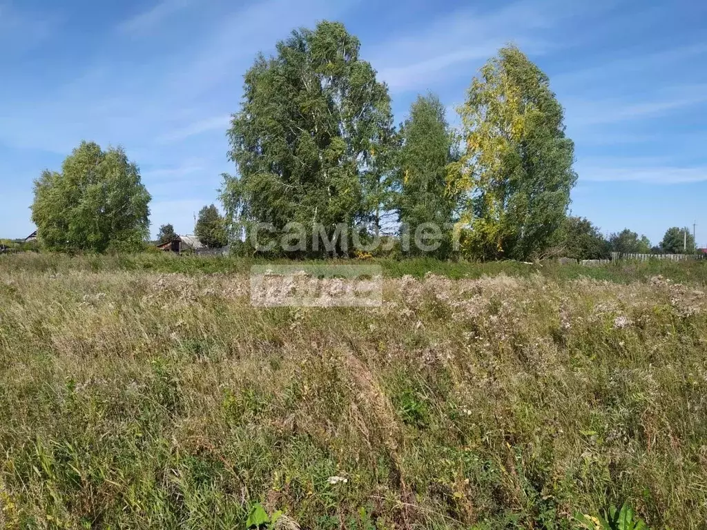Участок в Курганская область, Курган с. Зайково,  (14.0 сот.) - Фото 2