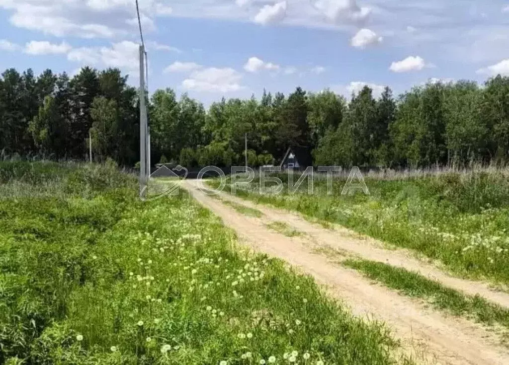 Участок в Тюменская область, Тюменский муниципальный округ, с. Каменка ... - Фото 2