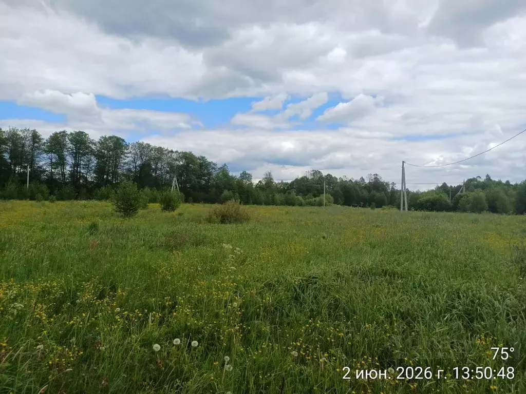 Участок в Московская область, Наро-Фоминский городской округ, д. ... - Фото 1