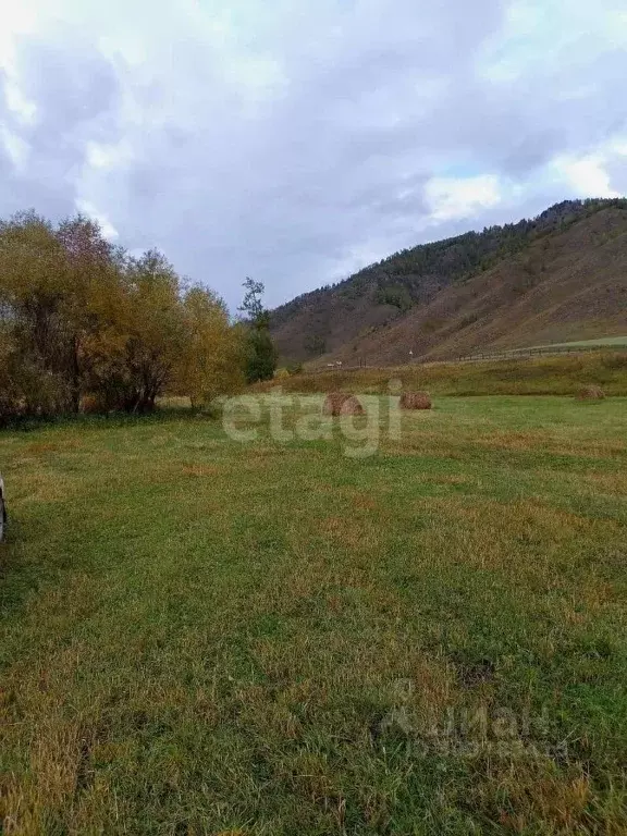 Участок в Алтай, Онгудайский район, с. Онгудай  (360.0 сот.) - Фото 0