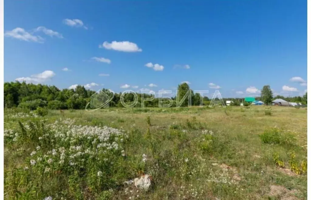 Участок в Тюменская область, Нижнетавдинский муниципальный округ, пос. ... - Фото 1