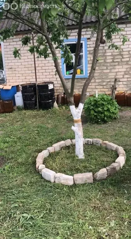 Участок в Орловский муниципальный округ, СНТ Металлург, 685 (4 м) - Фото 2