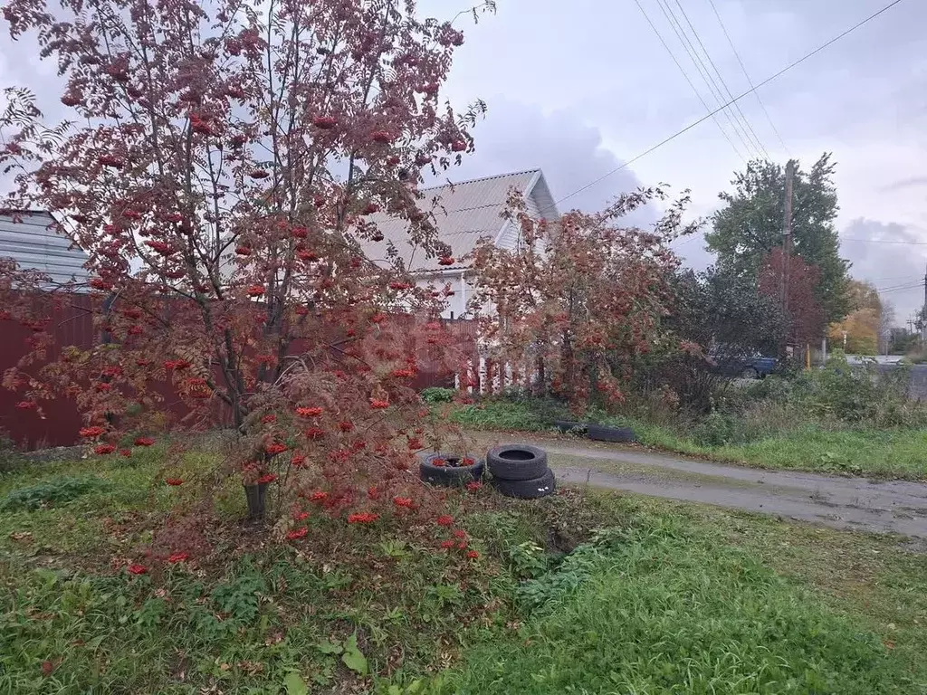 Дом в Свердловская область, Нижний Тагил Горняк-1 СНТ, 172 (36 м) - Фото 2