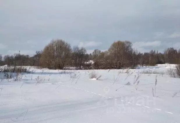 Участок в Московская область, Дмитровский муниципальный округ, с. ... - Фото 1