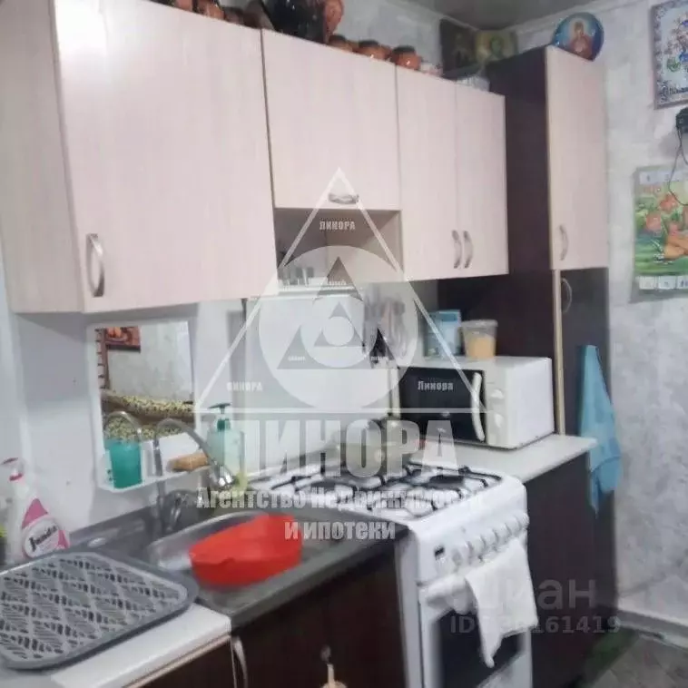 Дом в Омская область, Омск СОСН Дружба тер., аллея 6-я (53 м) - Фото 1