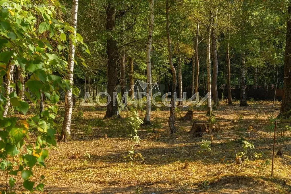 Участок в Першино, КП Зелёные холмы, Южная улица (11.6 м) - Фото 1