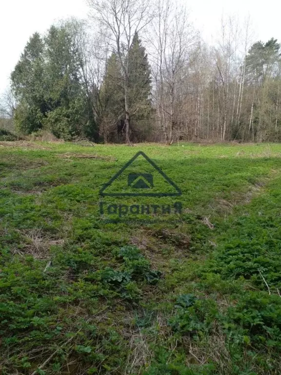 Участок в Московская область, Дмитровский муниципальный округ, ... - Фото 2