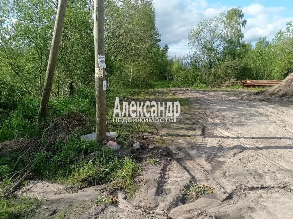 Участок в Ленинградская область, Приозерский район, Ромашкинское ... - Фото 1