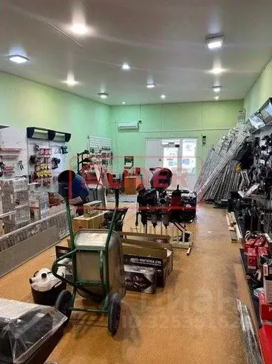 Склад в Севастополь Энтузиаст садоводческое товарищество, ул. ... - Фото 2