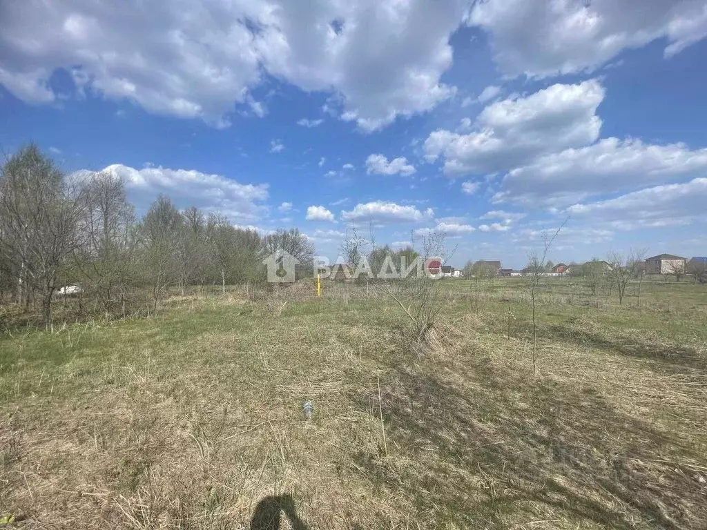 Участок в Пензенская область, с. Бессоновка ул. Бирюзовая (10.0 сот.) - Фото 1