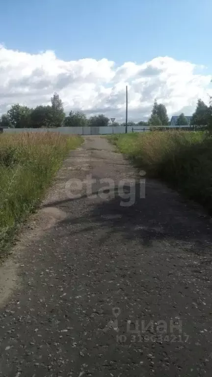 Участок в Брянская область, Трубчевск пер. 2-й Овражный (10.5 сот.) - Фото 1