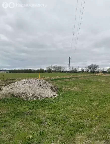 Участок в Волосовский район, Большеврудское сельское поселение, ... - Фото 1