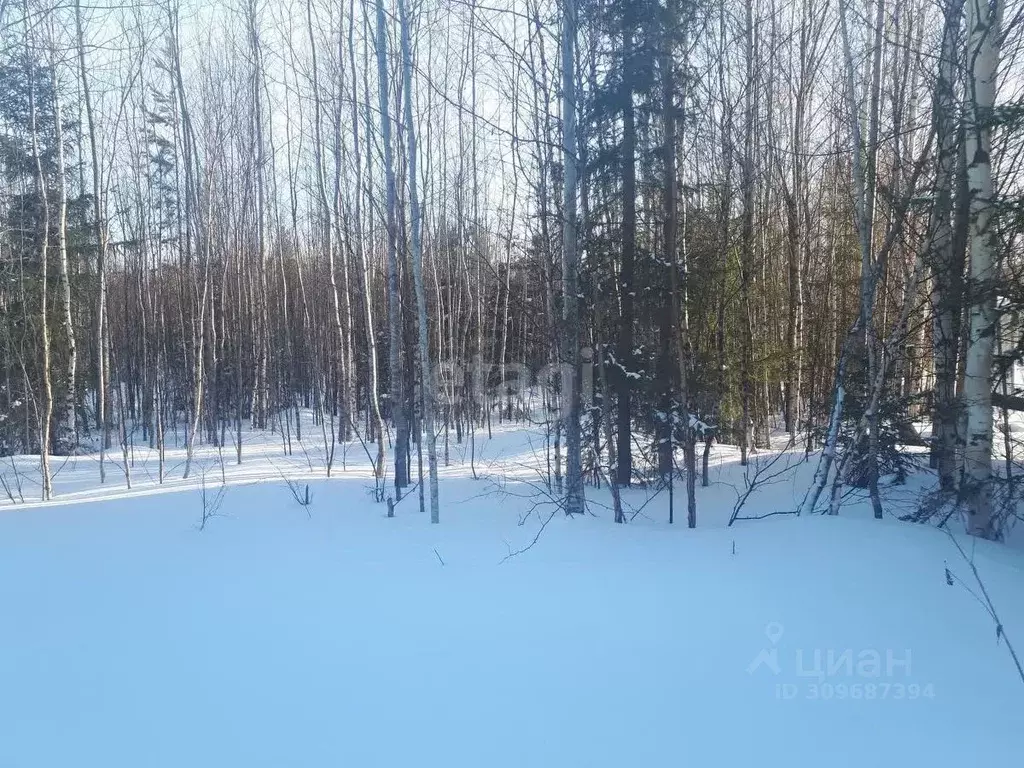 Участок в Ханты-Мансийский АО, Ханты-Мансийск Учитель-3 СОТ,  (8.6 ... - Фото 0