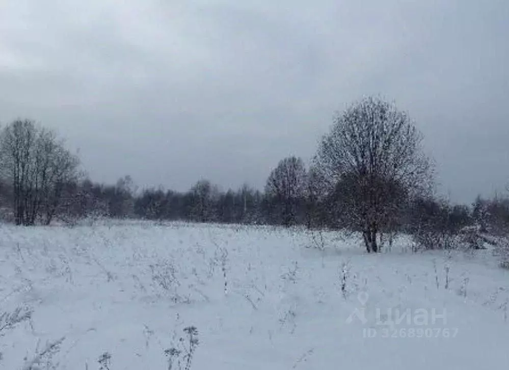 Участок в Московская область, Дмитровский муниципальный округ, д. ... - Фото 1