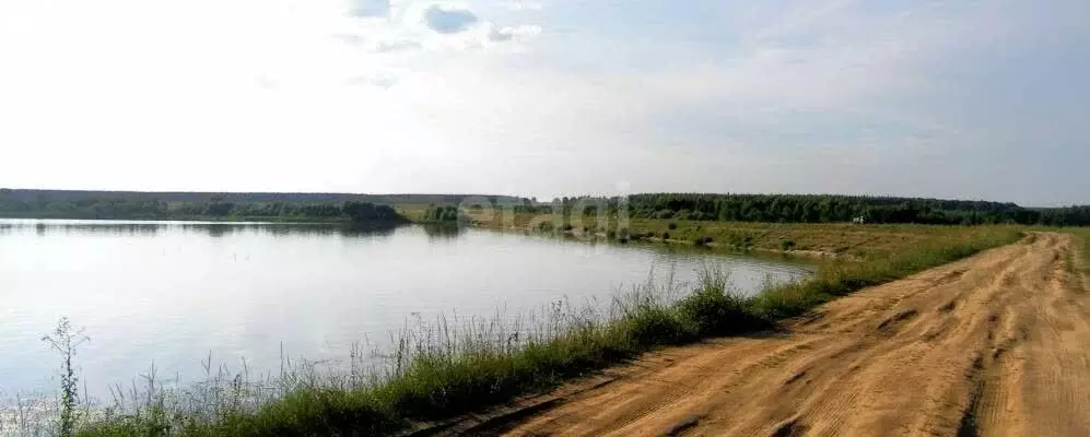 Участок в деревня Марьевка, улица Ворошилова (29 м) - Фото 0