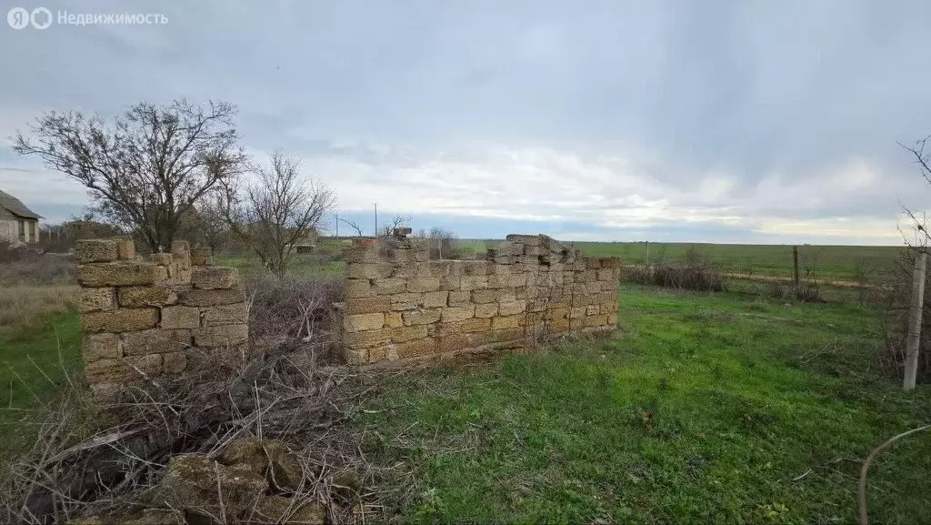 Участок в Сакский район, Лесновское сельское поселение, СНТ Дружба ... - Фото 2