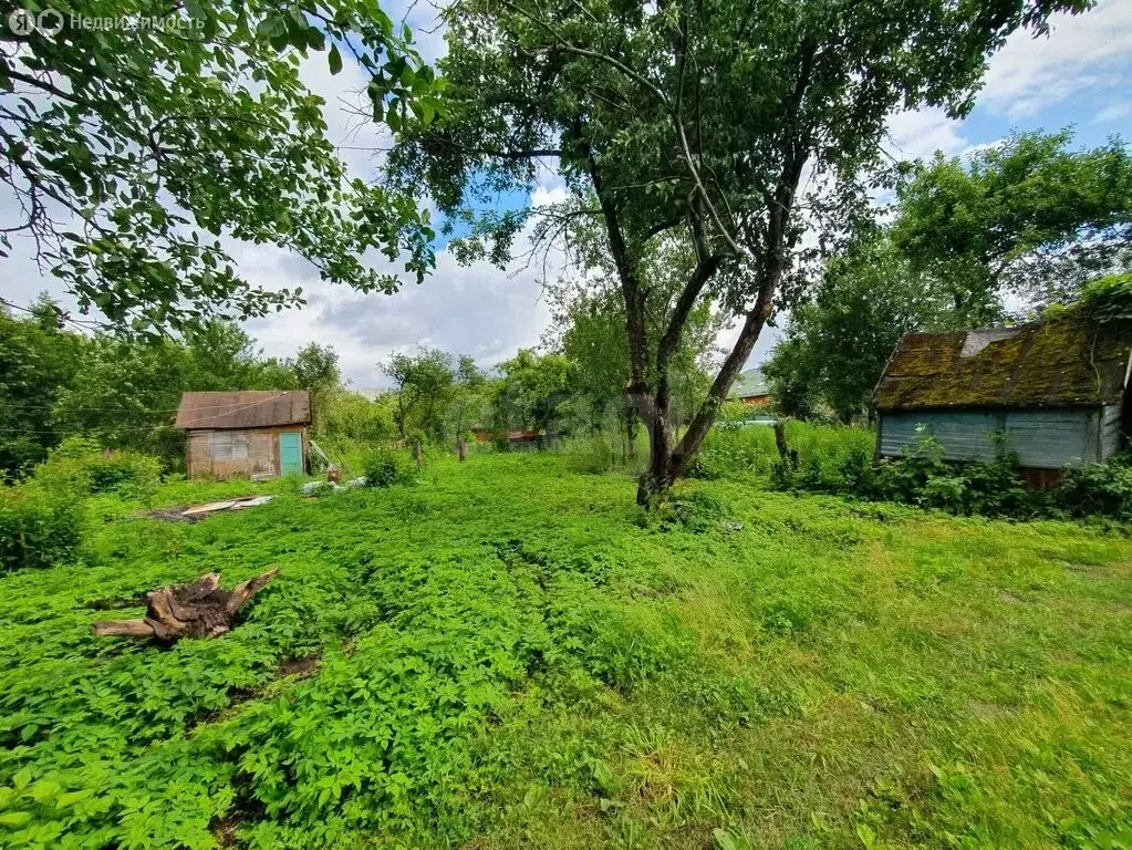 Участок в Брянск, садоводческое объединение Коммунальник (4.41 м) - Фото 2