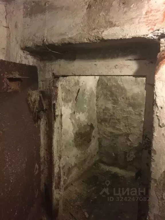 Помещение свободного назначения в Челябинская область, Челябинск ул. ... - Фото 1