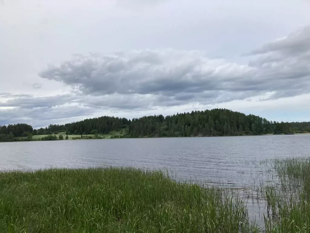 Участок в Карелия, Лахденпохский муниципальный округ, пос. Куркиеки, ... - Фото 1