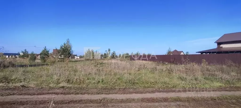 Участок в Алтайский край, Первомайский район, пос. Новый ул. 2-я ... - Фото 1