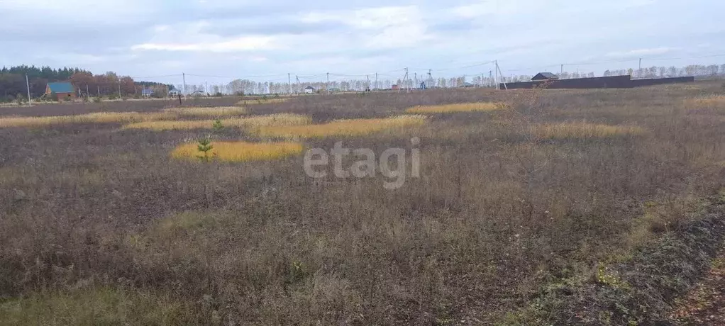 Участок в Ульяновская область, Ульяновск городской округ, с. Луговое ... - Фото 1