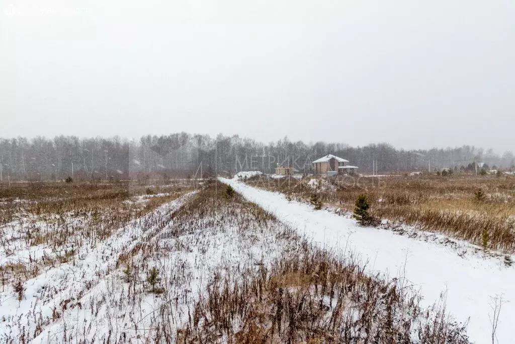 Участок в Тюменский район, село Кулига (12.5 м) - Фото 0