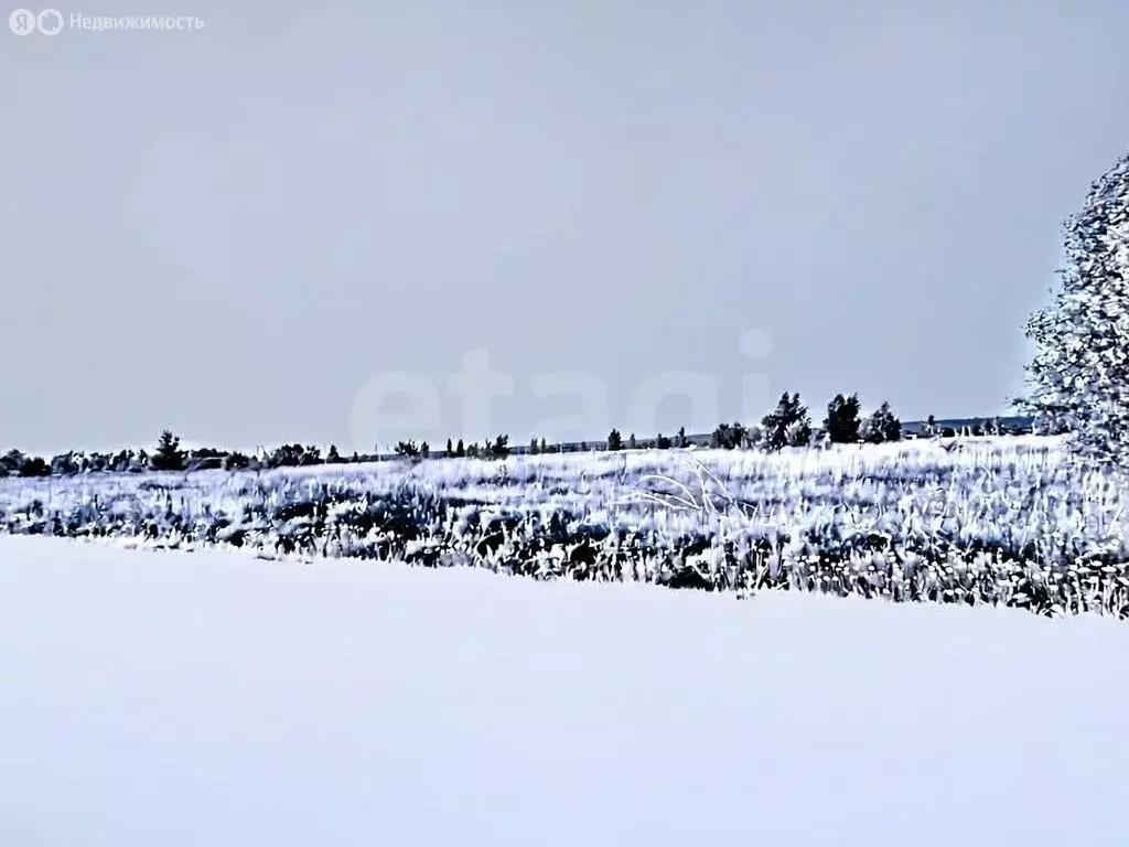 Участок в Тульская область, Венёвский муниципальный округ, ... - Фото 2